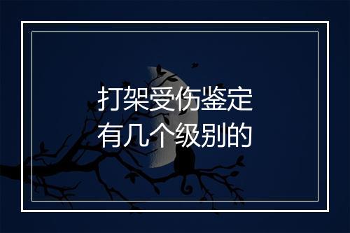 打架受伤鉴定有几个级别的