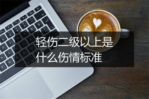 轻伤二级以上是什么伤情标准