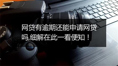 网贷有逾期还能申请网贷吗,细解在此一看便知!