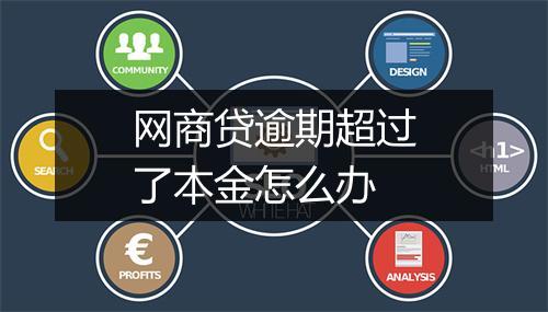 网商贷逾期超过了本金怎么办