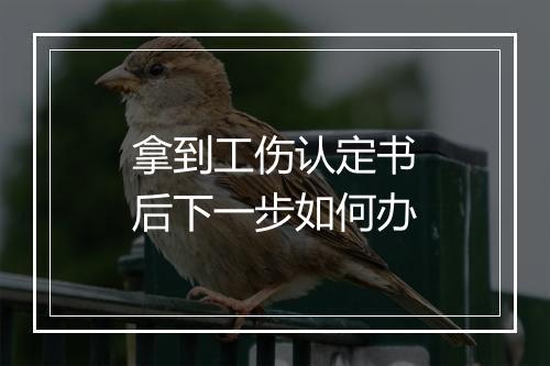 拿到工伤认定书后下一步如何办