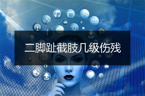二脚趾截肢几级伤残