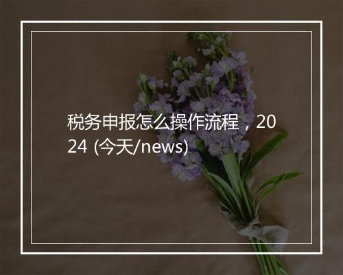 税务申报怎么操作流程,2024 (今天/news)