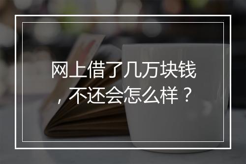 网上借了几万块钱,不还会怎么样?