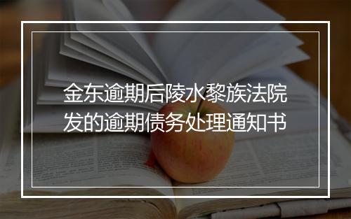 金东逾期后陵水黎族法院发的逾期债务处理通知书