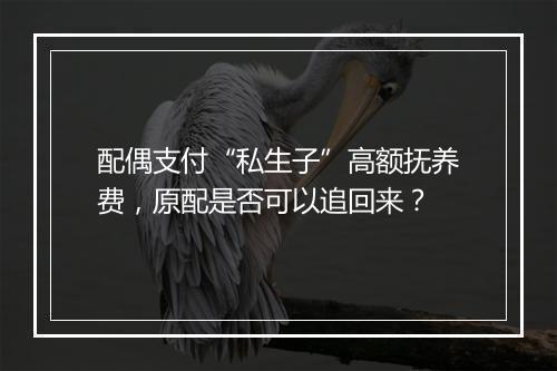 配偶支付“私生子”高额抚养费,原配是否可以追回来?