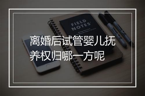 离婚后试管婴儿抚养权归哪一方呢