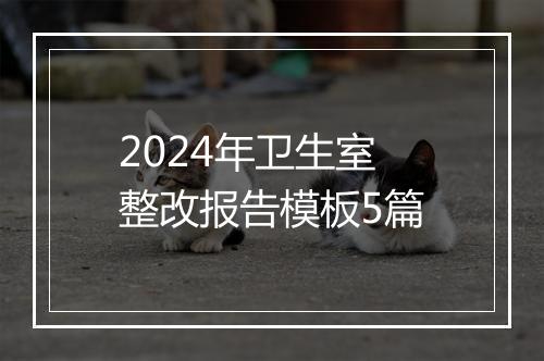 2024年卫生室整改报告模板5篇