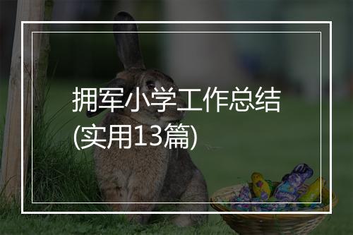 拥军小学工作总结(实用13篇)