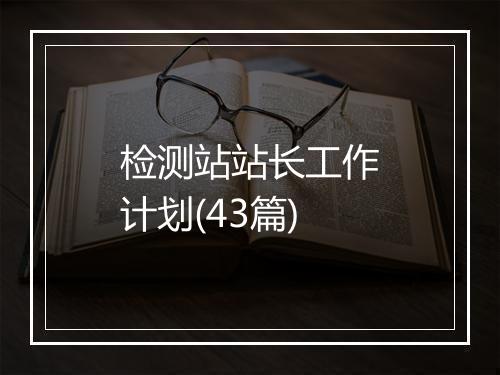 检测站站长工作计划(43篇)