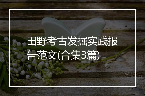 田野考古发掘实践报告范文(合集3篇)