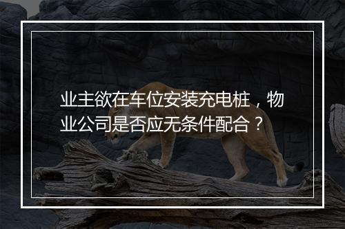 业主欲在车位安装充电桩,物业公司是否应无条件配合?