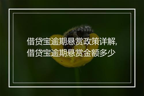 借贷宝逾期悬赏政策详解,借贷宝逾期悬赏金额多少