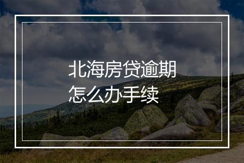 北海房贷逾期怎么办手续
