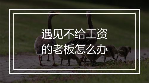 遇见不给工资的老板怎么办