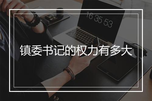 镇委书记的权力有多大
