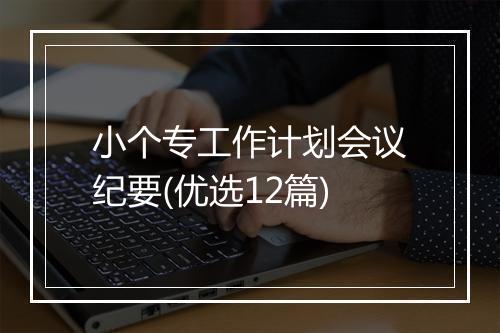 小个专工作计划会议纪要(优选12篇)