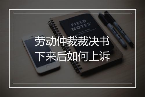 劳动仲裁裁决书下来后如何上诉