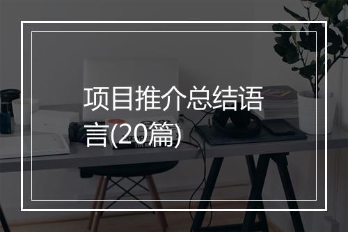 项目推介总结语言(20篇)