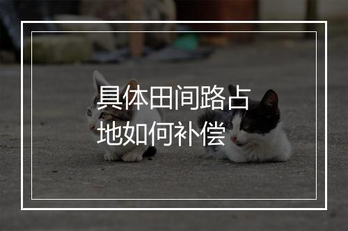 具体田间路占地如何补偿