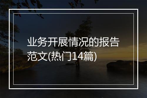 业务开展情况的报告范文(热门14篇)