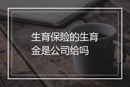 生育保险的生育金是公司给吗