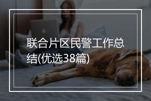 联合片区民警工作总结(优选38篇)
