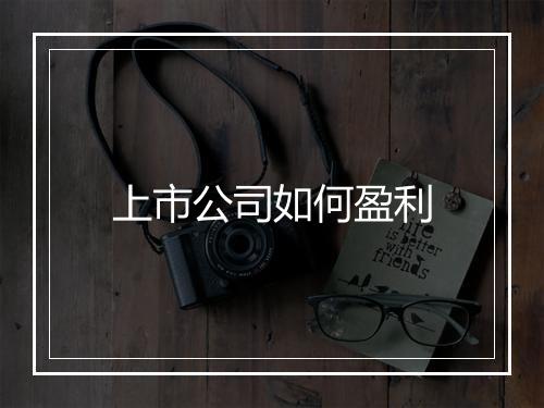 上市公司如何盈利