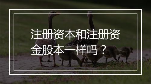 注册资本和注册资金股本一样吗?
