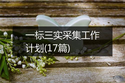一标三实采集工作计划(17篇)