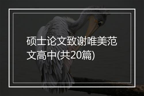 硕士论文致谢唯美范文高中(共20篇)