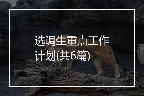 选调生重点工作计划(共6篇)