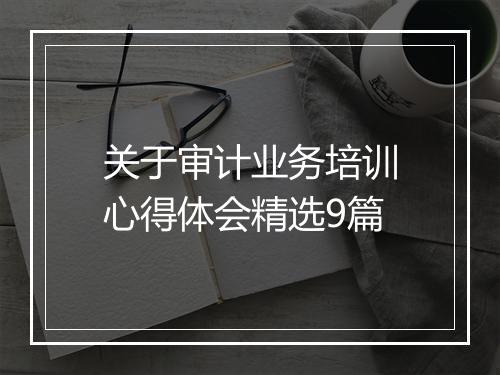 关于审计业务培训心得体会精选9篇