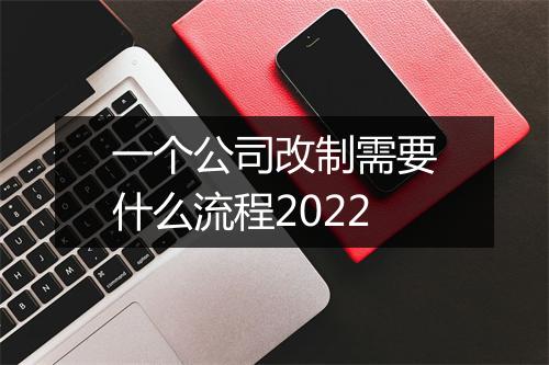 一个公司改制需要什么流程2022