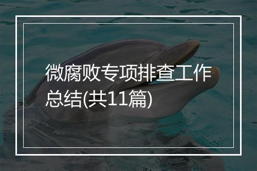 微腐败专项排查工作总结(共11篇)