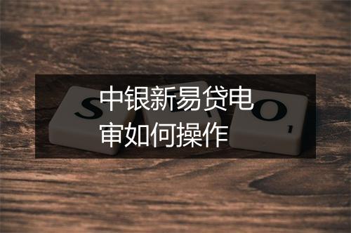 中银新易贷电审如何操作