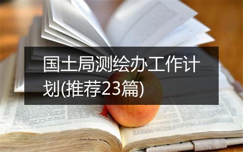 国土局测绘办工作计划(推荐23篇)