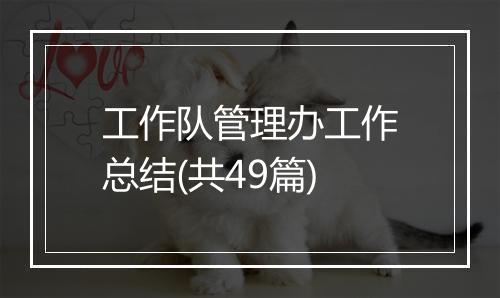 工作队管理办工作总结(共49篇)
