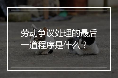 劳动争议处理的最后一道程序是什么?