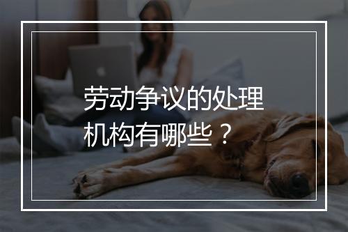 劳动争议的处理机构有哪些?