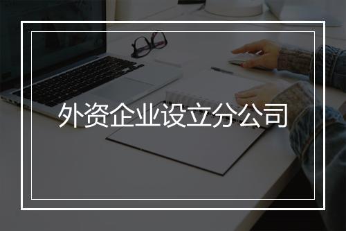 外资企业设立分公司