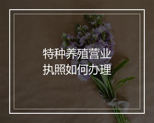 特种养殖营业执照如何办理