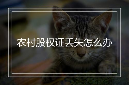 农村股权证丢失怎么办