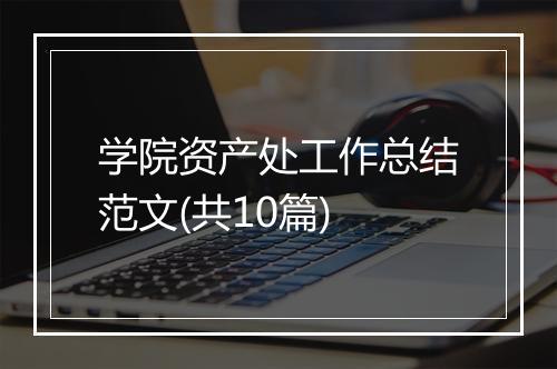 学院资产处工作总结范文(共10篇)