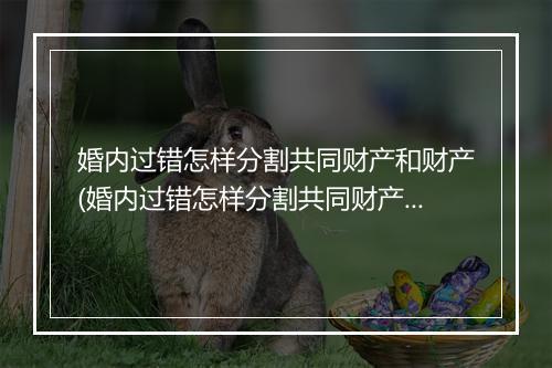 婚内过错怎样分割共同财产和财产(婚内过错怎样分割共同财产?)