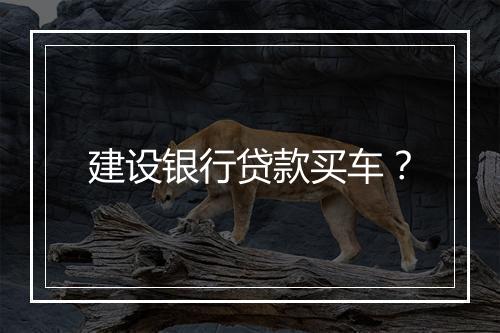 建设银行贷款买车?