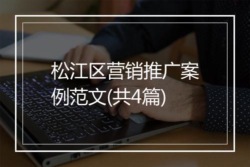 松江区营销推广案例范文(共4篇)