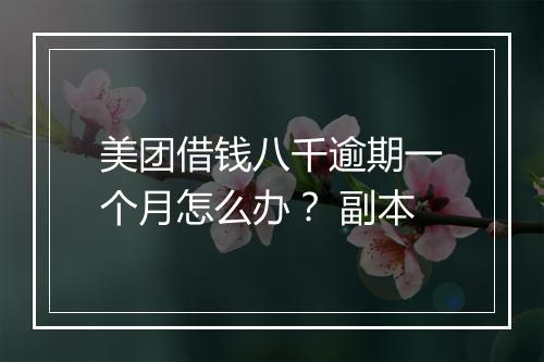美团借钱八千逾期一个月怎么办? 副本