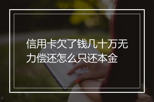 信用卡欠了钱几十万无力偿还怎么只还本金