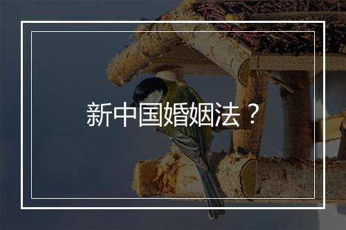 新中国婚姻法?